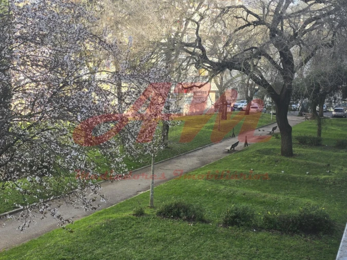 Apartamento T2 para Venda em Águas Livres Foto 18