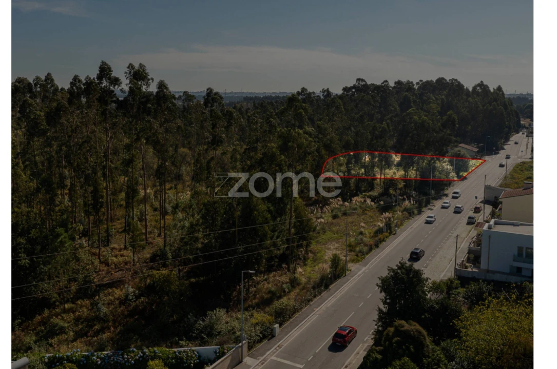 Terreno para Venda em Nogueira e Silva Escura Foto 13