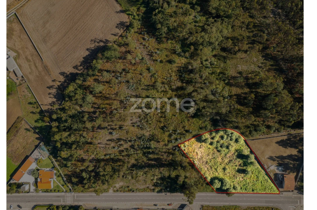 Terreno para Venda em Nogueira e Silva Escura Foto 3