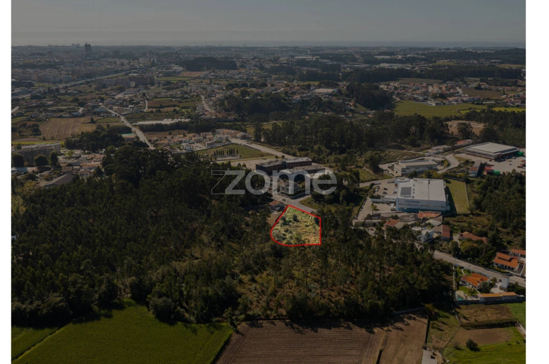 Terreno para Venda em Nogueira e Silva Escura Foto 8