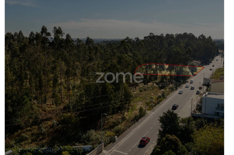 Terreno para Venda em Nogueira e Silva Escura Foto 13