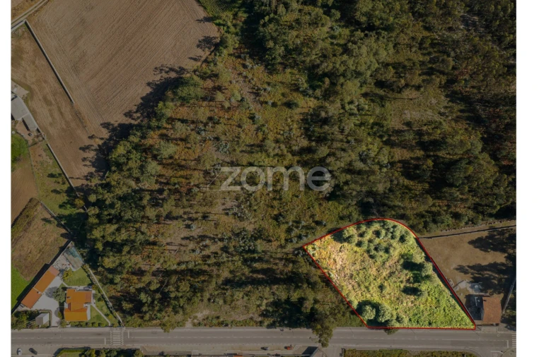 Terreno para Venda em Nogueira e Silva Escura Foto 3