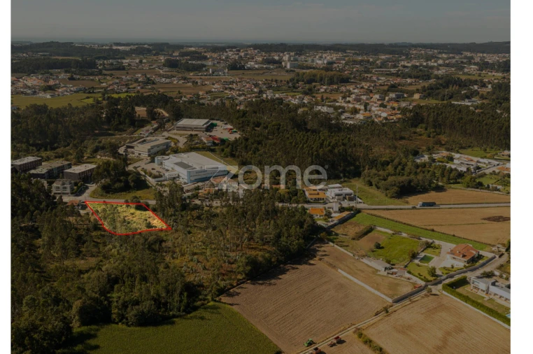 Terreno para Venda em Nogueira e Silva Escura Foto 9