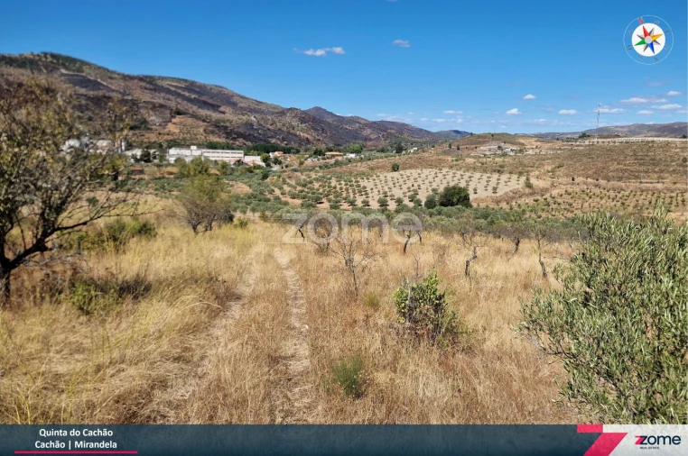 Terreno para Venda em Frechas Foto 18