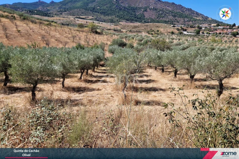 Terreno para Venda em Frechas Foto 11
