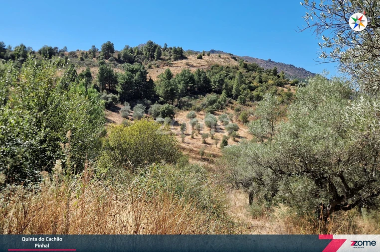 Terreno para Venda em Frechas Foto 13