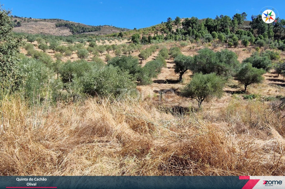Terreno para Venda em Frechas Foto 14