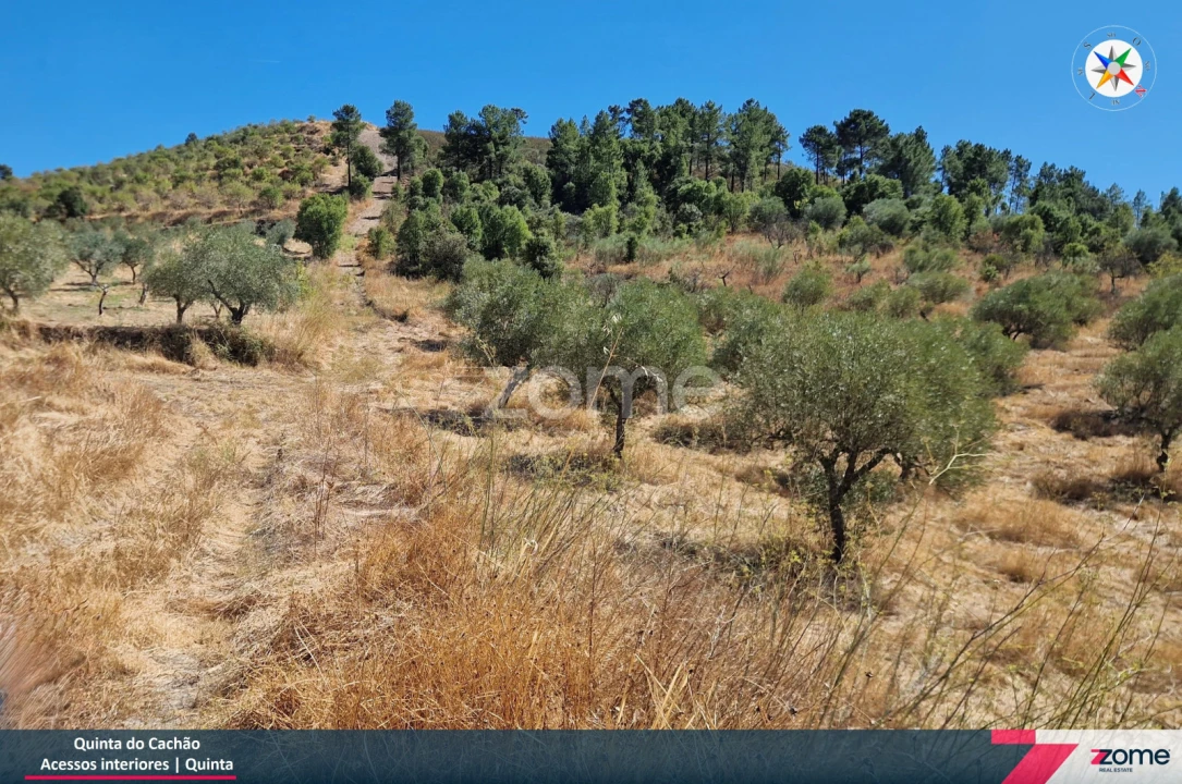Terreno para Venda em Frechas Foto 17
