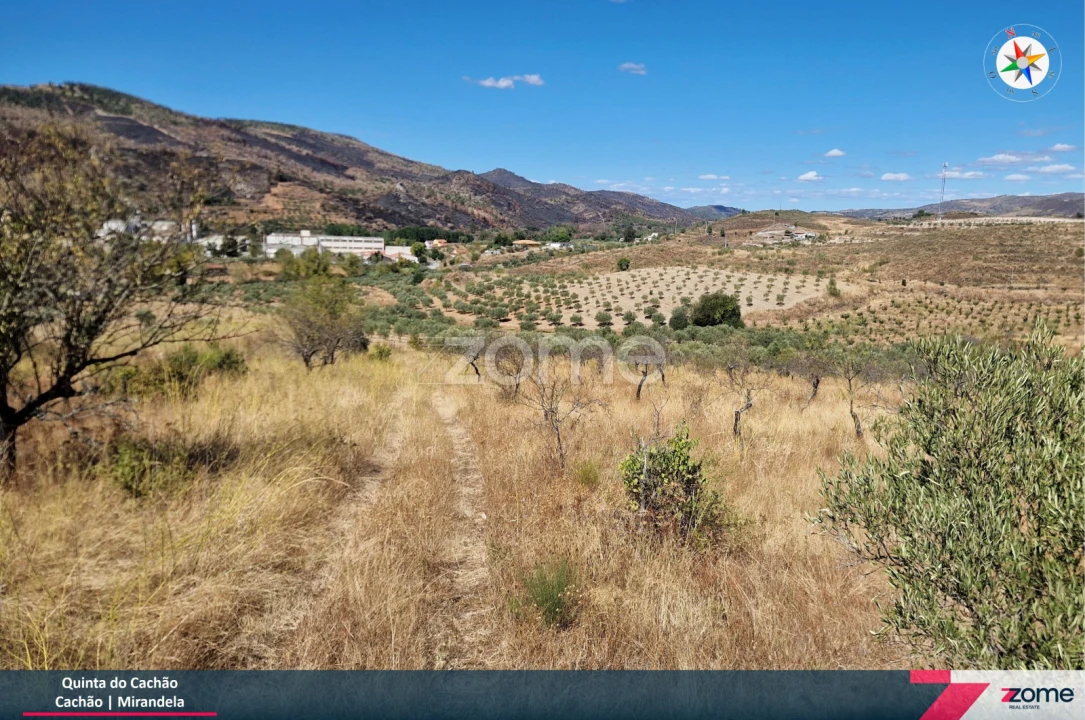 Terreno para Venda em Frechas Foto 18