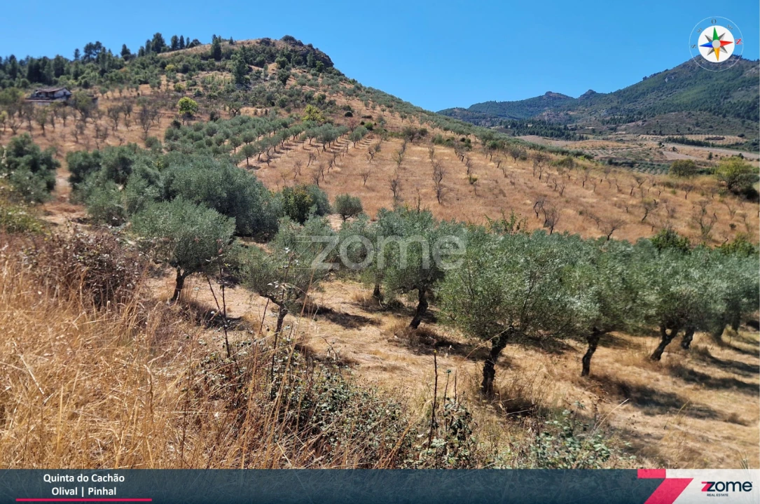 Terreno para Venda em Frechas Foto 7