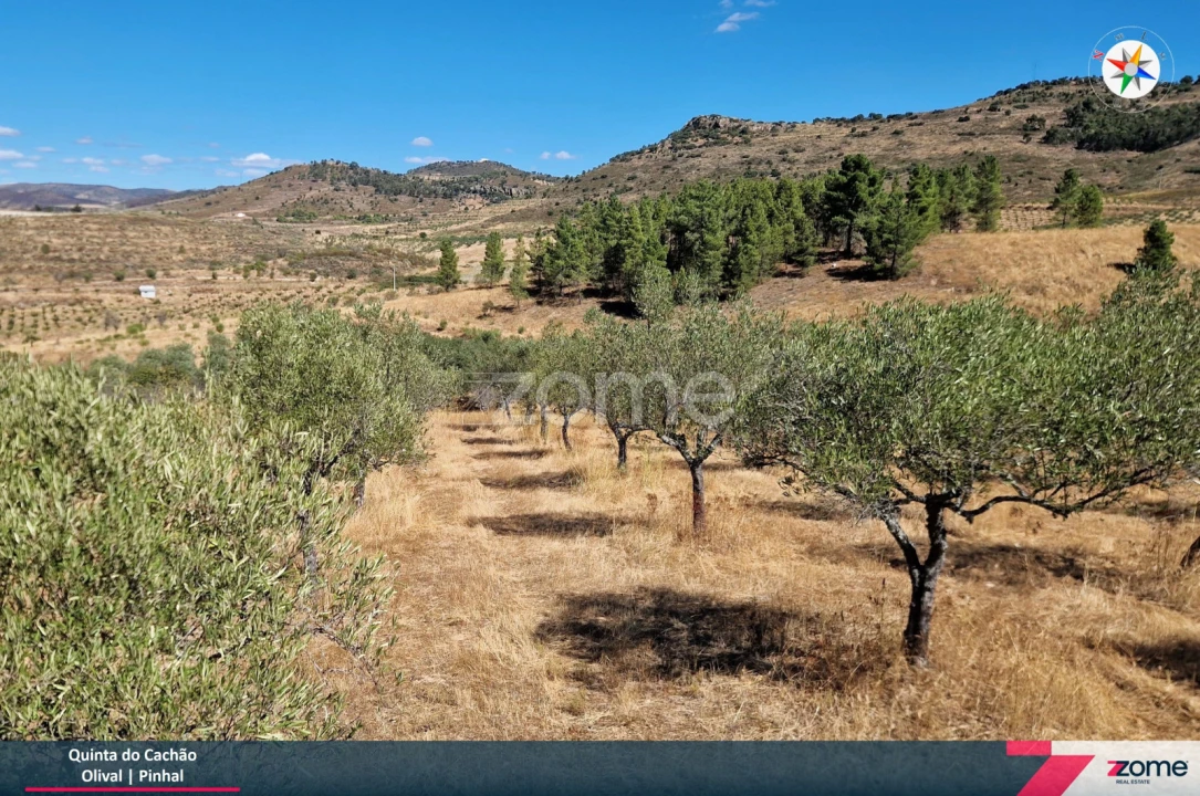 Terreno para Venda em Frechas Foto 8