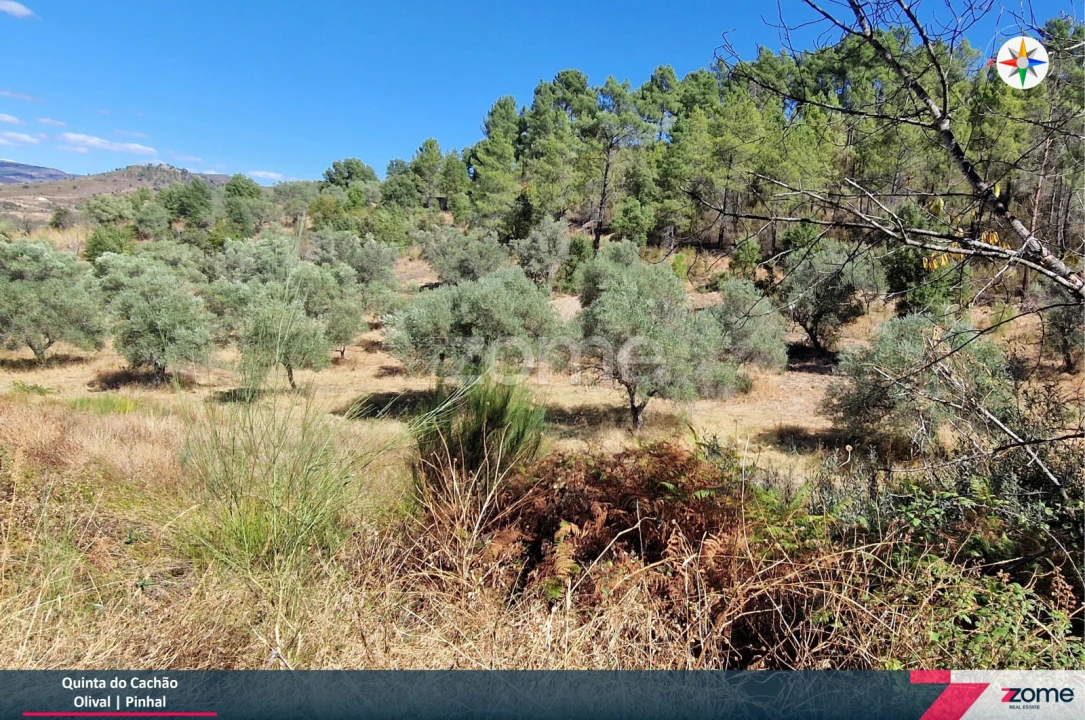 Terreno para Venda em Frechas Foto 9