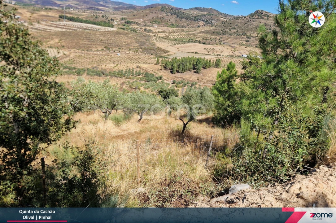 Terreno para Venda em Frechas Foto 10