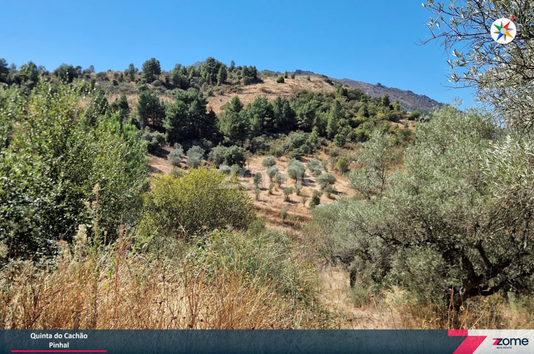 Terreno para Venda em Frechas Foto 13