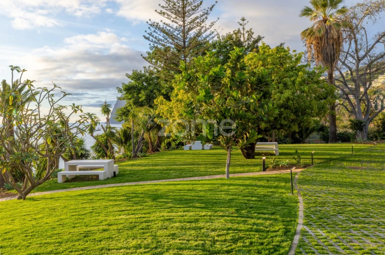 Apartamento T3 para Arrendamento em São Martinho Foto 14