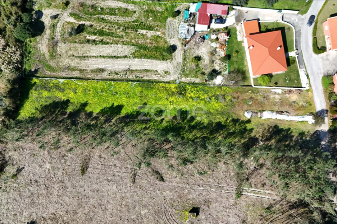 Terreno para Venda em Arazede Foto 8