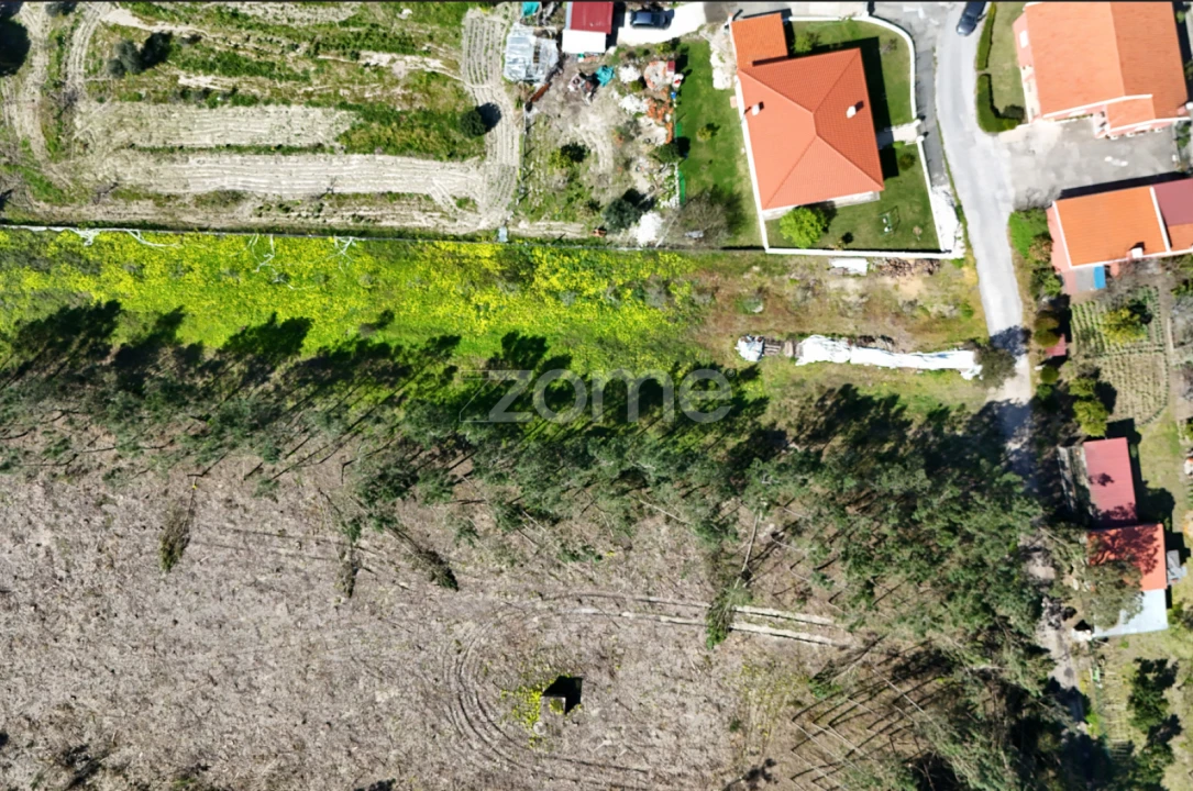 Terreno para Venda em Arazede Foto 11