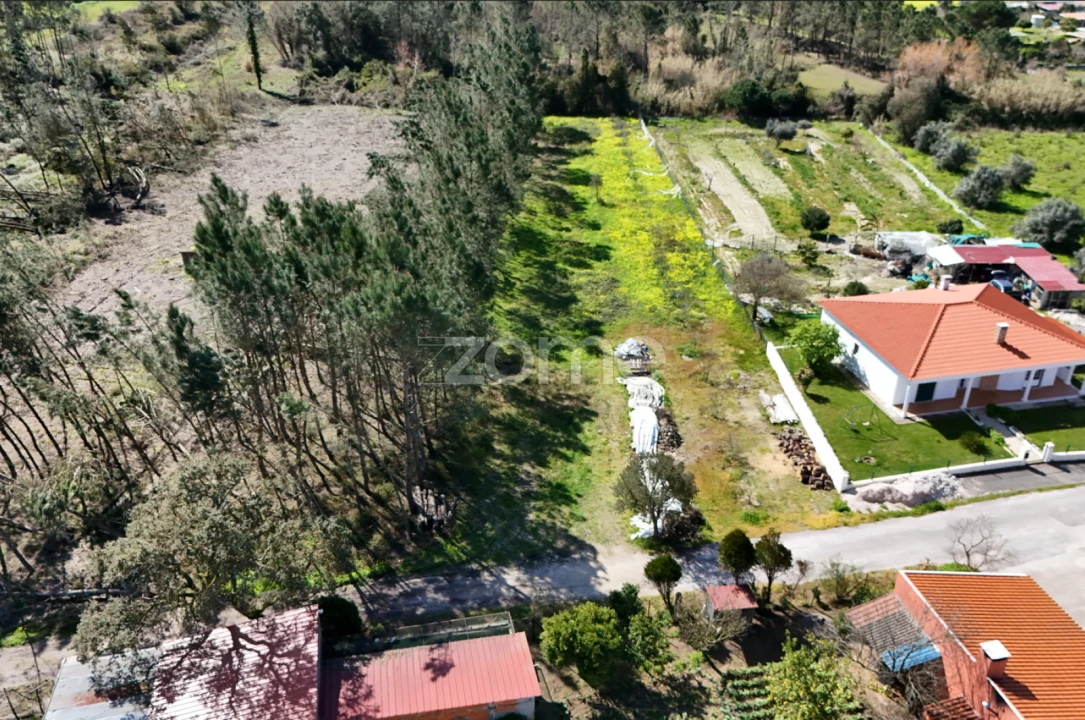 Terreno para Venda em Arazede Foto 12