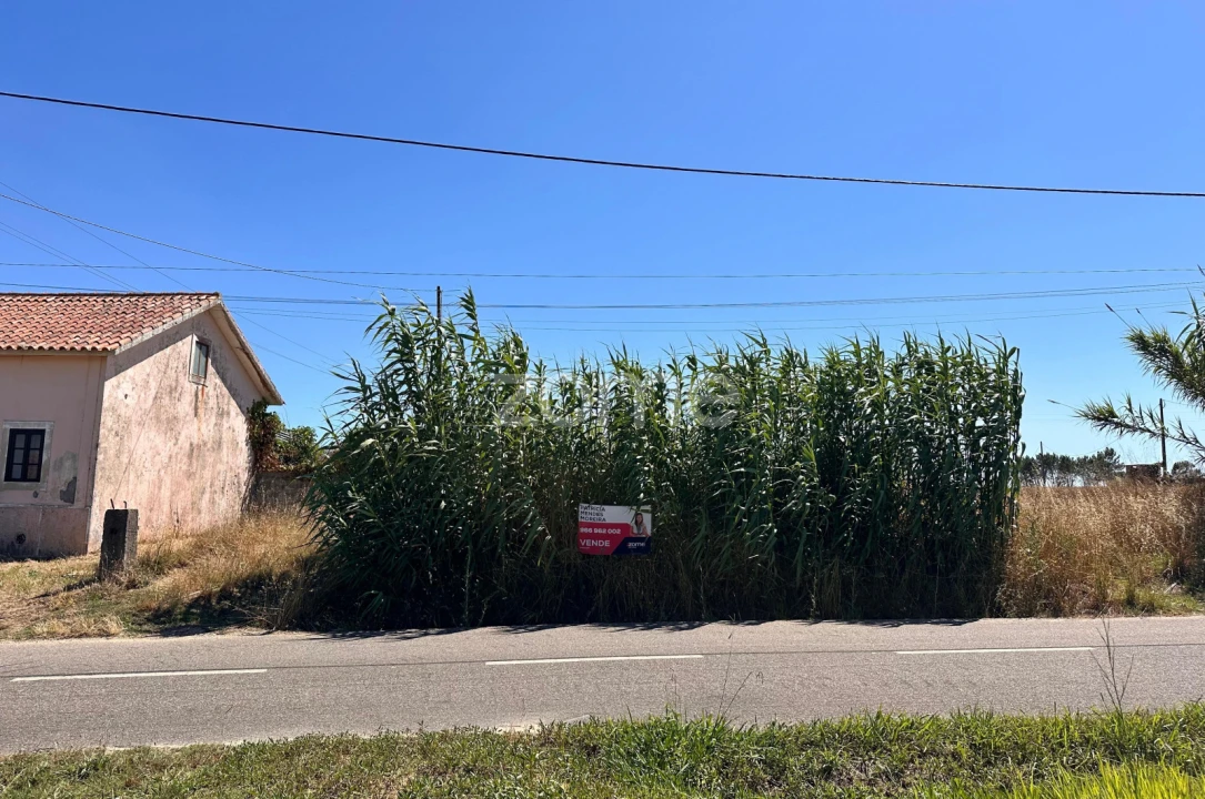 Terreno para Venda em Montemor-O-Velho e Gatões Foto 20
