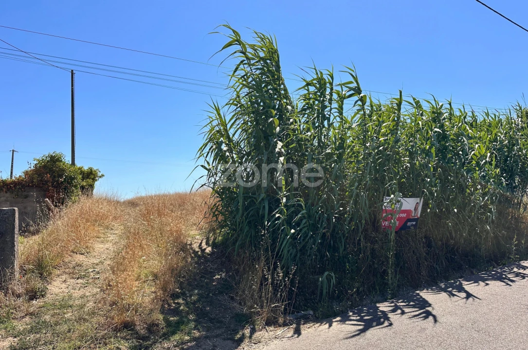 Terreno para Venda em Montemor-O-Velho e Gatões Foto 21