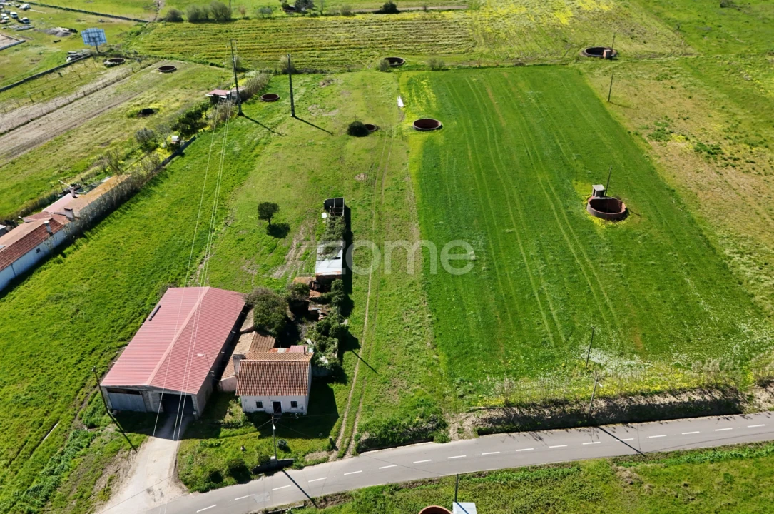 Terreno para Venda em Montemor-O-Velho e Gatões Foto 3