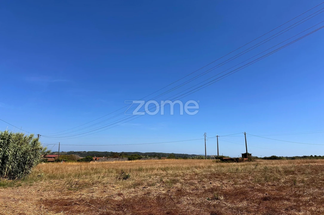 Terreno para Venda em Montemor-O-Velho e Gatões Foto 23
