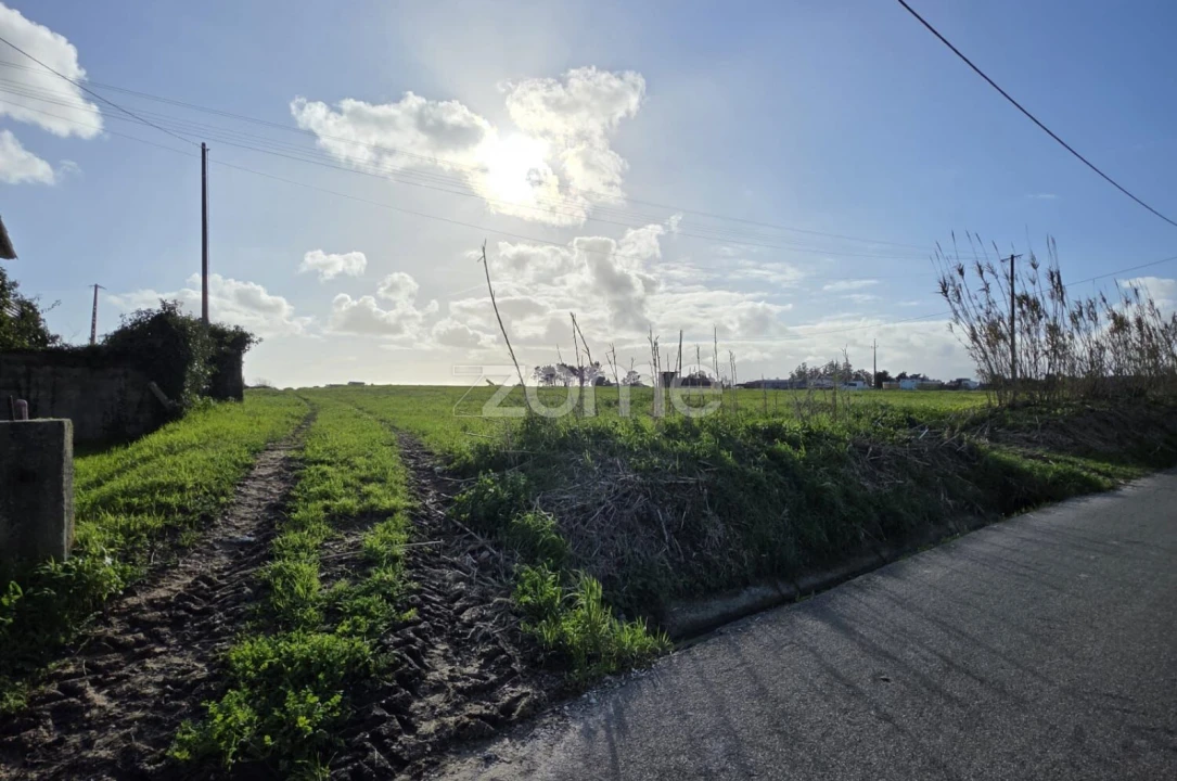 Terreno para Venda em Montemor-O-Velho e Gatões Foto 10
