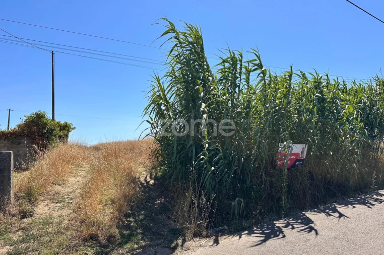 Terreno para Venda em Montemor-O-Velho e Gatões Foto 21