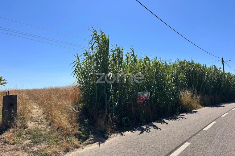 Terreno para Venda em Montemor-O-Velho e Gatões Foto 22