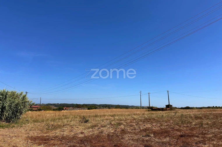 Terreno para Venda em Montemor-O-Velho e Gatões Foto 23