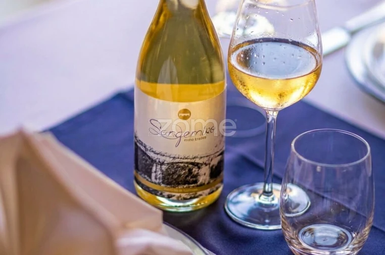 Negócio para Venda em Lajeosa do Dão Foto 42