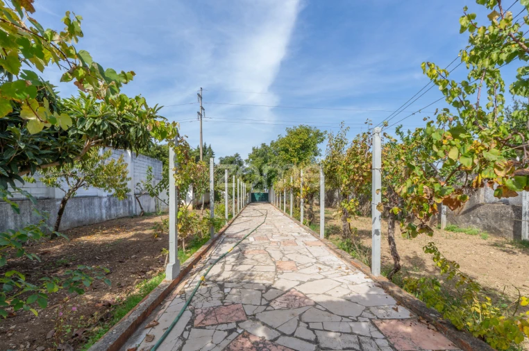 Terreno para Venda em Algueirão-Mem Martins Foto 41