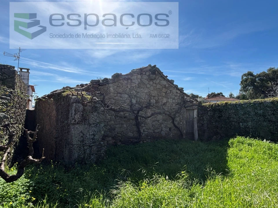 Terreno para Venda em Proença-A-Velha Foto 5