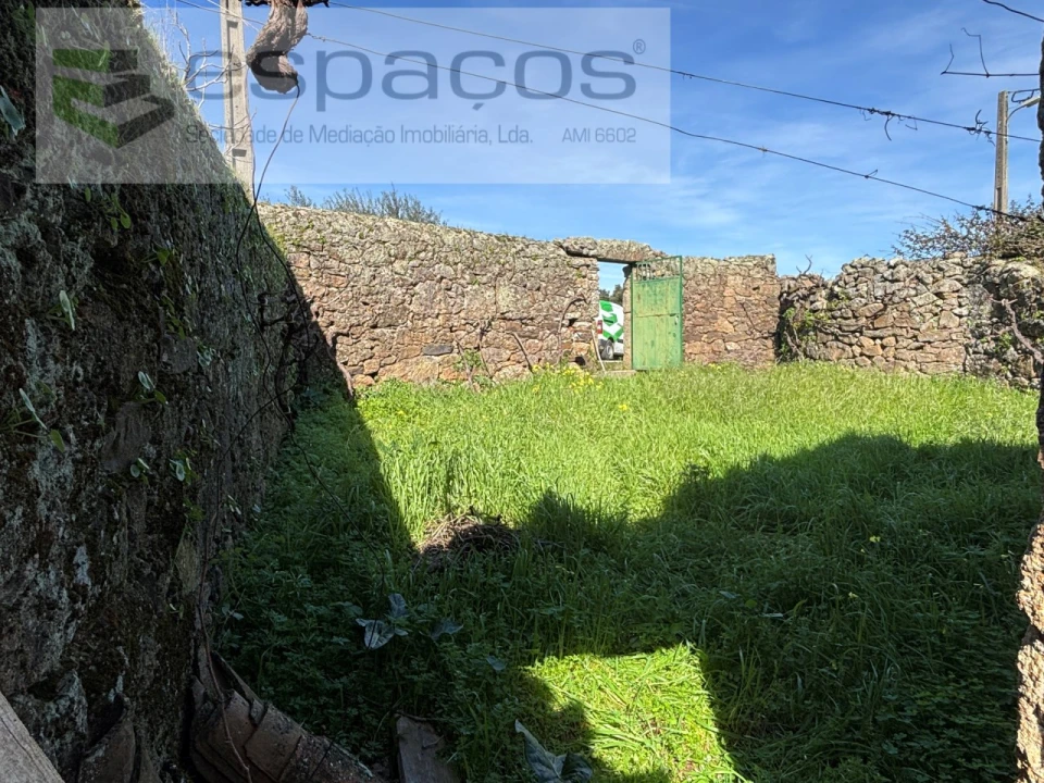 Terreno para Venda em Proença-A-Velha Foto 1