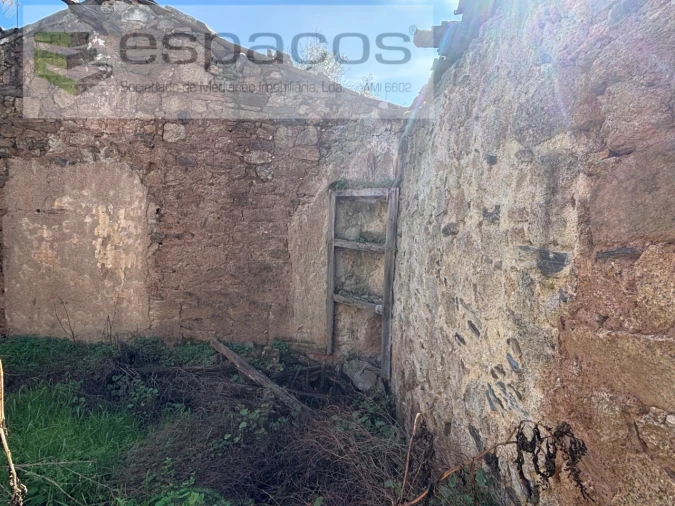 Terreno para Venda em Proença-A-Velha Foto 9