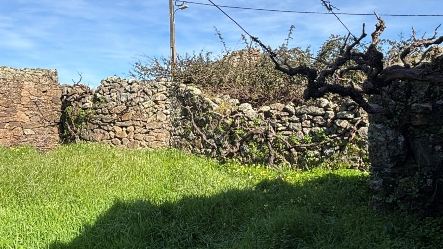 Moradia T1 para Venda em Proença-A-Velha