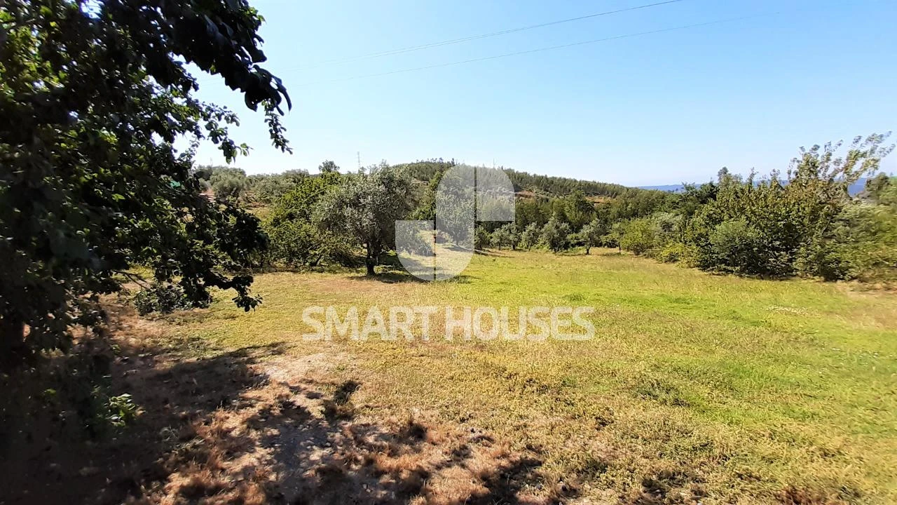 Moradia T3 para Arrendamento em Côja e Barril de Alva Foto 30