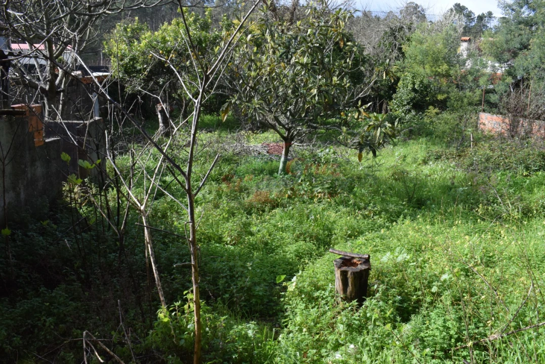 Moradia T3 para Venda em Pampilhosa Foto 17