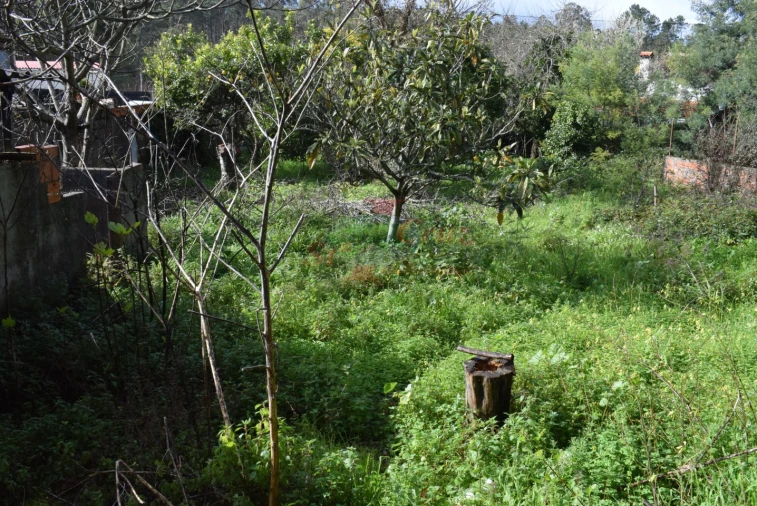 Moradia T3 para Venda em Pampilhosa Foto 17