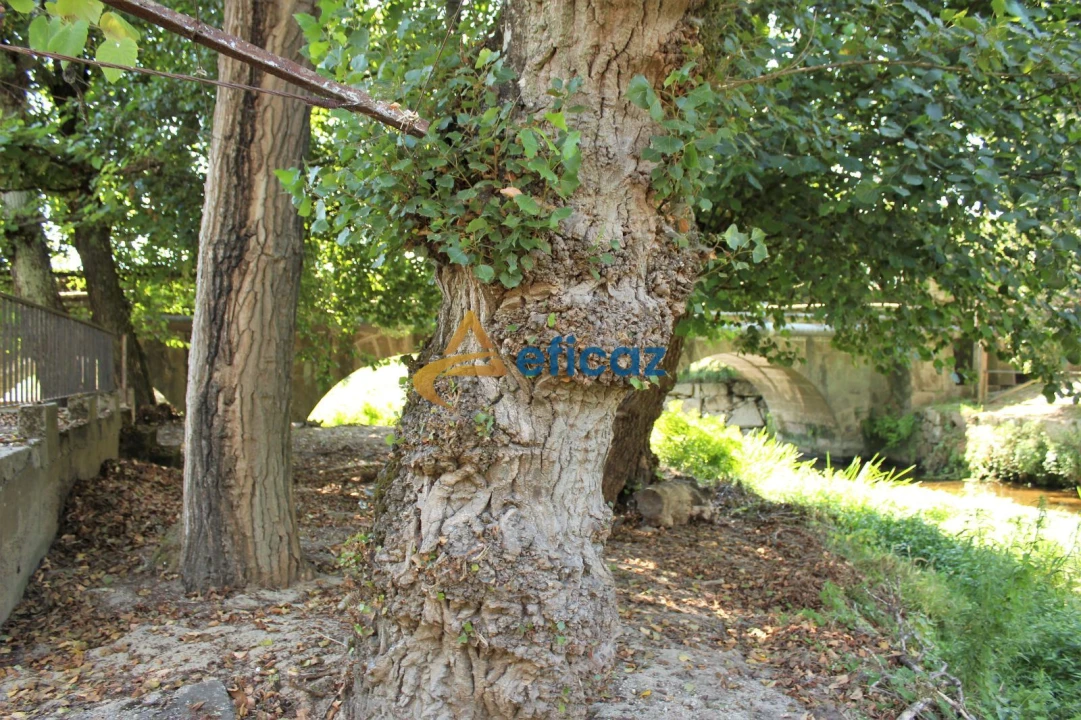 Moradia T3 para Venda em Abragão Foto 24