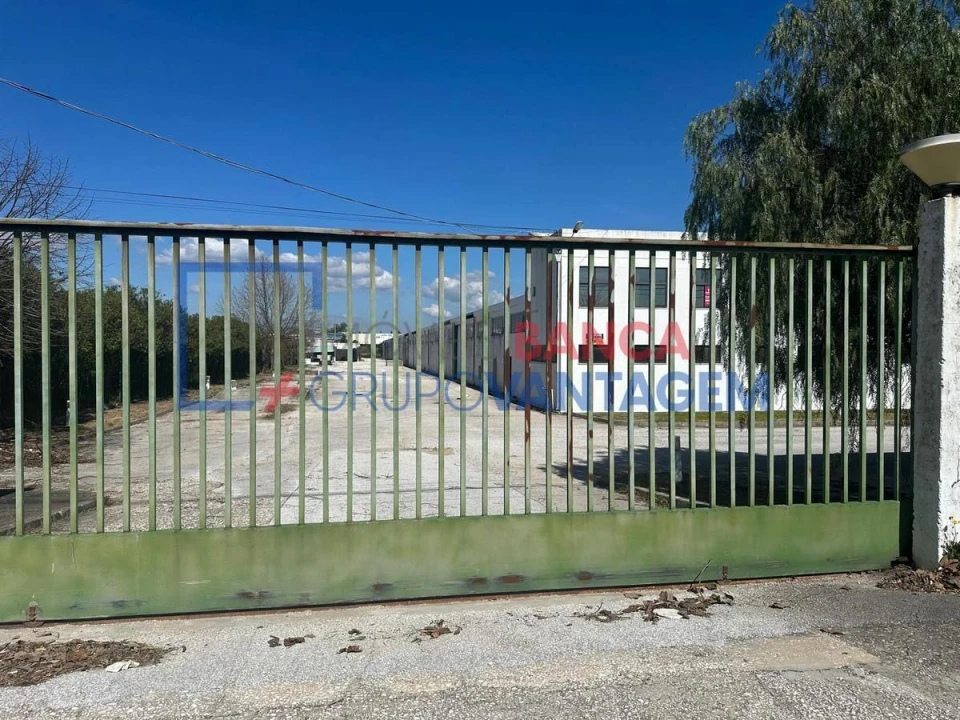 Armazém para Venda em Torres Novas (Santa Maria, Salvador e Santiago) Foto 6