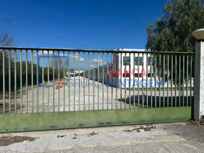 Armazém para Venda em Torres Novas (Santa Maria, Salvador e Santiago) Foto 6