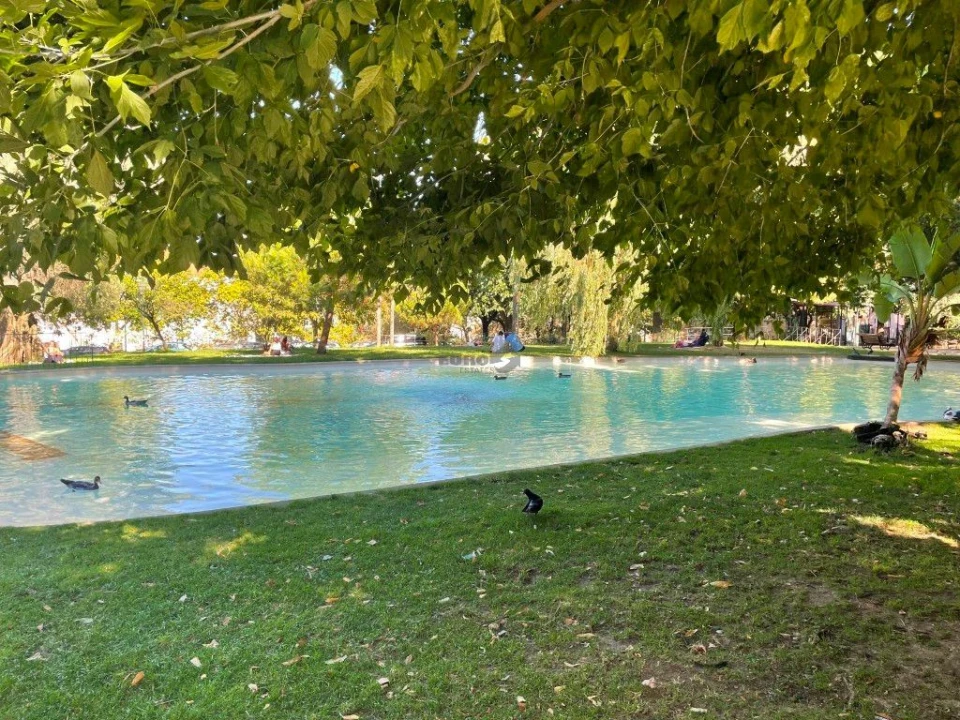 Quarto para Arrendamento em Arroios Foto 23