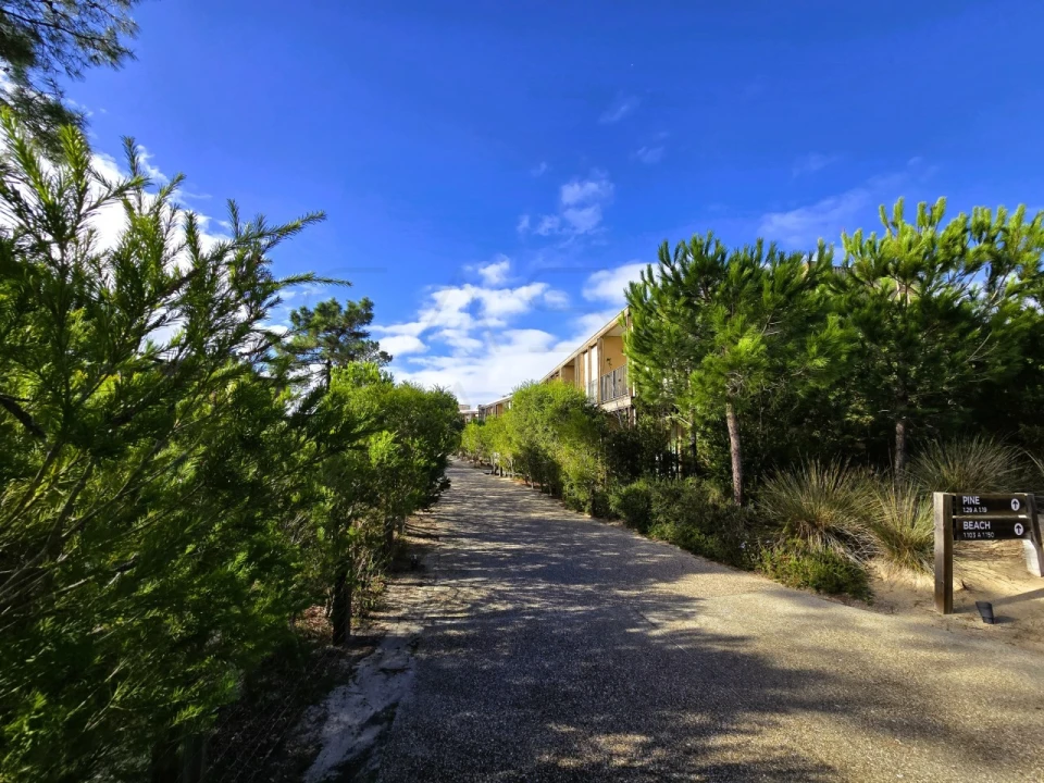 Apartamento T3 para Venda em Carvalhal Foto 37