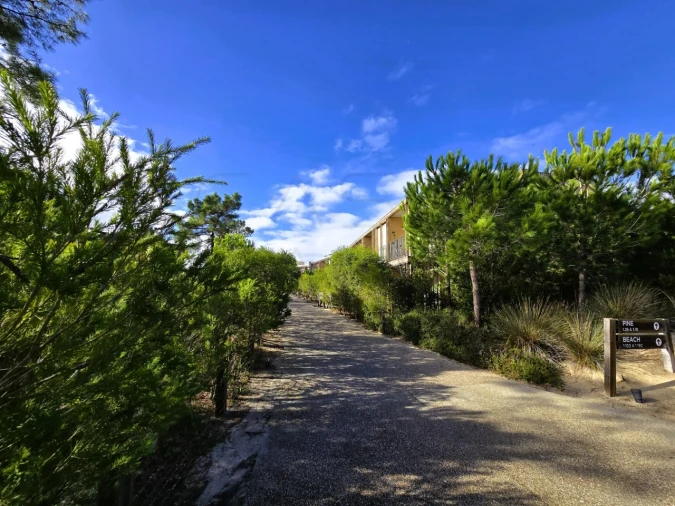 Apartamento T3 para Venda em Carvalhal Foto 37