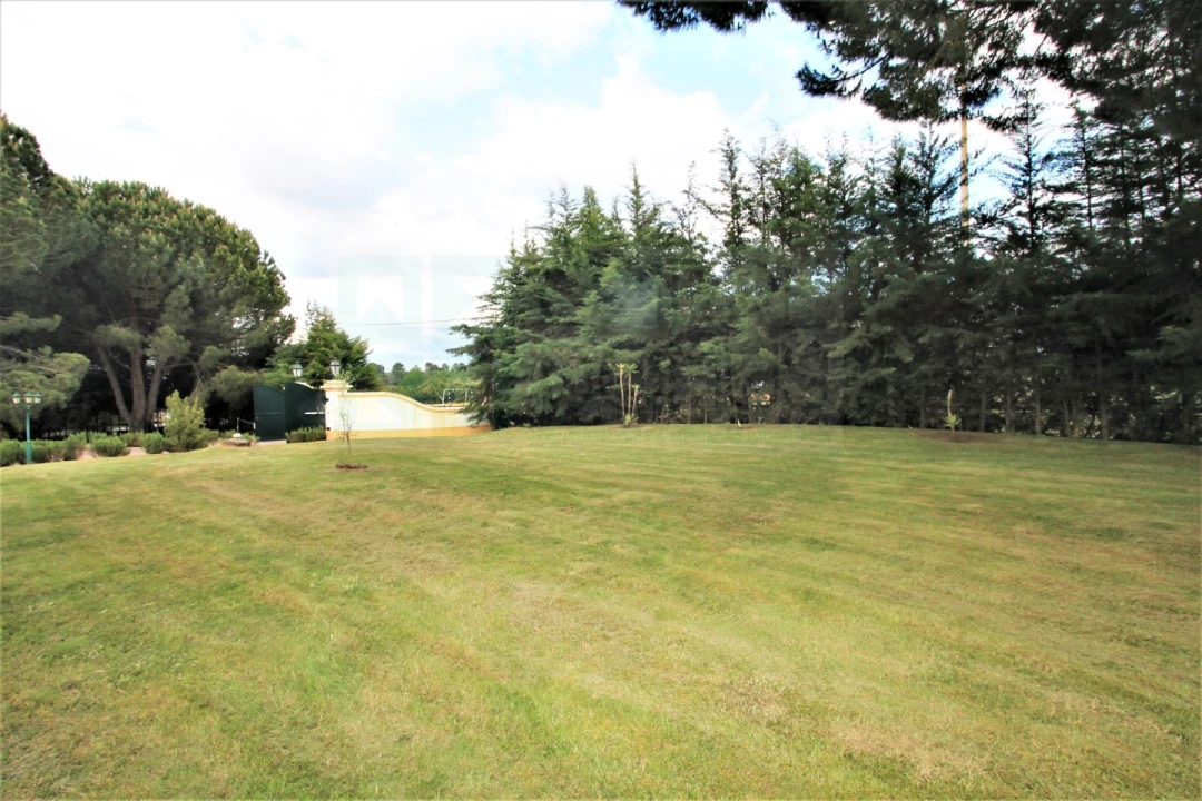 Moradia T4 para Venda em Santo Estêvão Foto 63