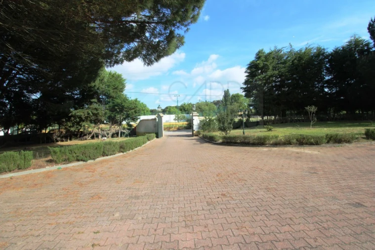 Quinta T4 para Venda em Santo Estêvão Foto 65