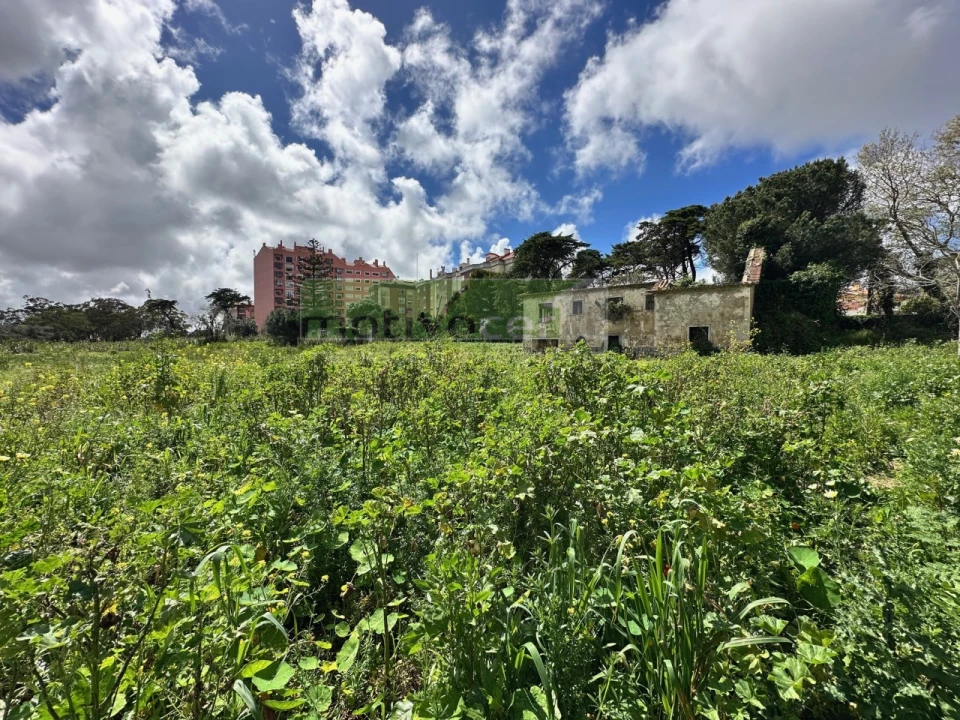 Terreno para Venda em Rio de Mouro Foto 3