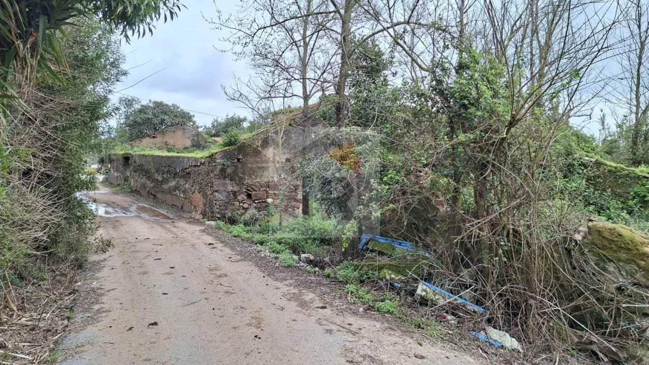 Loja para Venda em Carvalhal Benfeito Foto 20