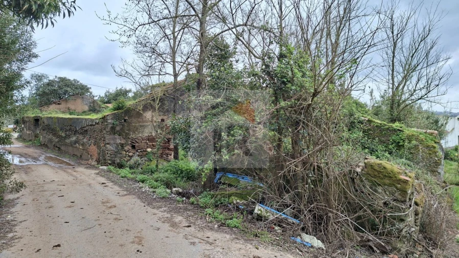 Loja para Venda em Carvalhal Benfeito Foto 21
